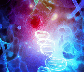 Small Molecule Compounds and the Hedgehog Signaling Pathway